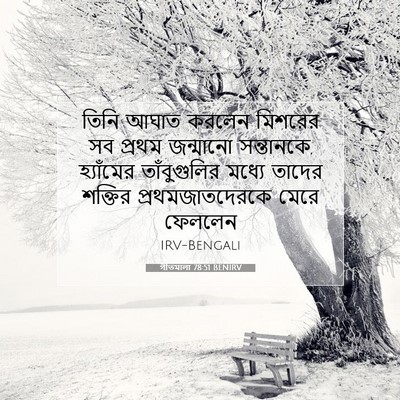 Picture 07 - গীতমালা 78:51 BENIRV - তিনি আঘাত করলেন - Bible Verse Picture