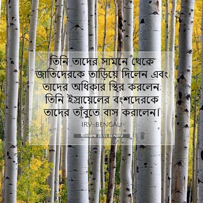 Picture 07 - গীতমালা 78:55 BENIRV - তিনি তাদের সামনে - Bible Verse Picture