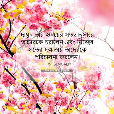 Picture 07 - গীতমালা 78:72 BENIRV - দায়ূদ তার - Bible Verse Picture