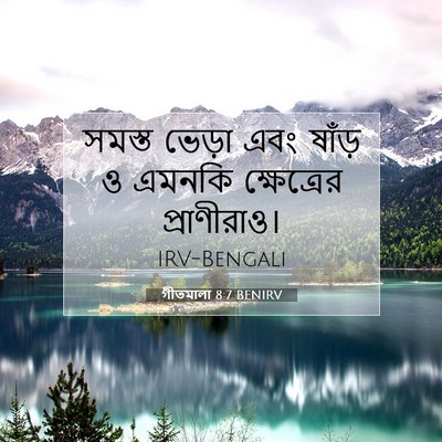 Picture 07 - গীতমালা 8:7 BENIRV - সমস্ত ভেড়া এবং - Bible Verse Picture