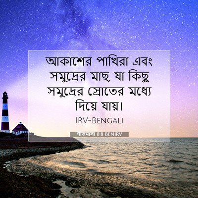Picture 07 - গীতমালা 8:8 BENIRV - আকাশের পাখিরা এবং - Bible Verse Picture