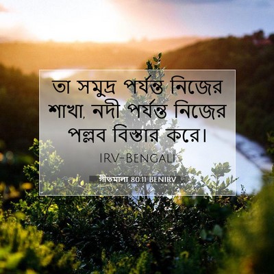 Picture 07 - গীতমালা 80:11 BENIRV - তা সমুদ্র পর্যন্ত - Bible Verse Picture