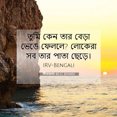 Picture 07 - গীতমালা 80:12 BENIRV - তুমি কেন তার বেড়া - Bible Verse Picture