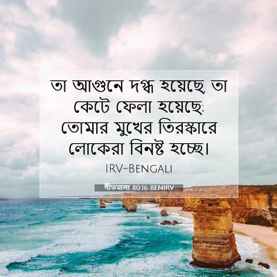 Picture 07 - গীতমালা 80:16 BENIRV - তা আগুনে দগ্ধ - Bible Verse Picture