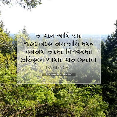 Picture 07 - গীতমালা 81:14 BENIRV - তা হলে আমি তার - Bible Verse Picture