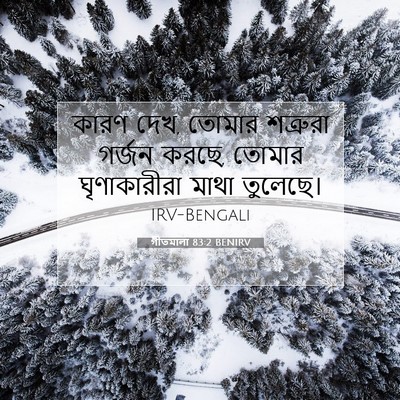 Picture 07 - গীতমালা 83:2 BENIRV - কারণ দেখ, তোমার - Bible Verse Picture