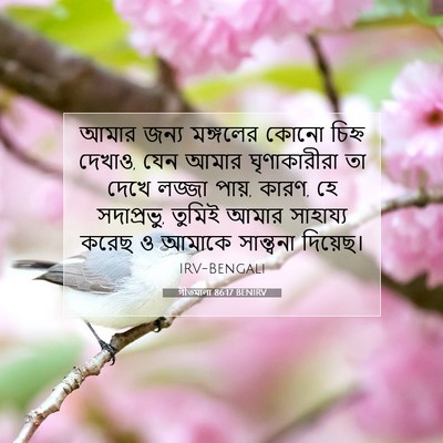 Picture 07 - গীতমালা 86:17 BENIRV - আমার জন্য মঙ্গলের - Bible Verse Picture