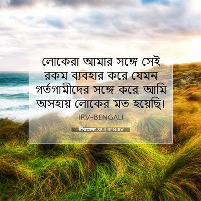 Picture 07 - গীতমালা 88:4 BENIRV - লোকেরা আমার সঙ্গে - Bible Verse Picture