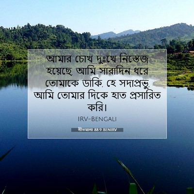 Picture 07 - গীতমালা 88:9 BENIRV - আমার চোখ দুঃখে - Bible Verse Picture