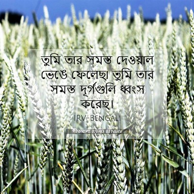 Picture 07 - গীতমালা 89:40 BENIRV - তুমি তার সমস্ত - Bible Verse Picture
