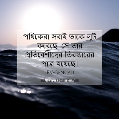 Picture 07 - গীতমালা 89:41 BENIRV - পথিকেরা সবাই তাকে - Bible Verse Picture