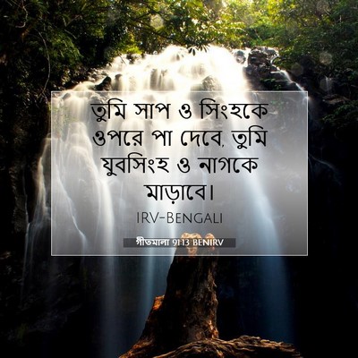 Picture 07 - গীতমালা 91:13 BENIRV - তুমি সাপ ও সিংহকে - Bible Verse Picture