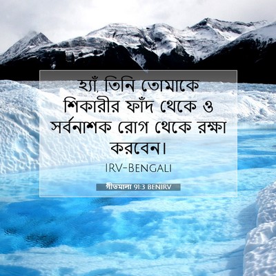 Picture 07 - গীতমালা 91:3 BENIRV - হ্যাঁ, তিনি তোমাকে - Bible Verse Picture