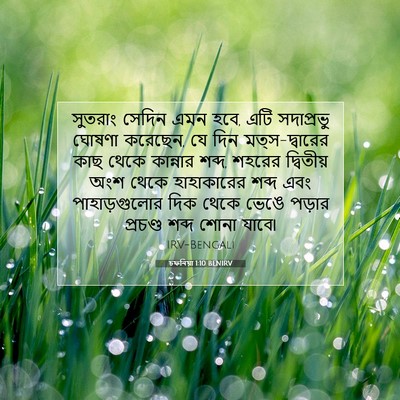 Picture 07 - চফনিয়া 1:10 BENIRV - সুতরাং সেদিন এমন - Bible Verse Picture