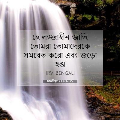 Picture 07 - চফনিয়া 2:1 BENIRV - হে লজ্জাহীন জাতি, - Bible Verse Picture