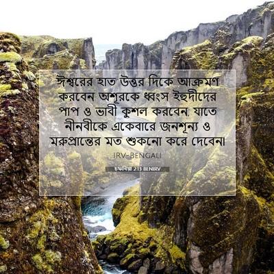Picture 07 - চফনিয়া 2:13 BENIRV - ঈশ্বরের হাত উত্তর - Bible Verse Picture