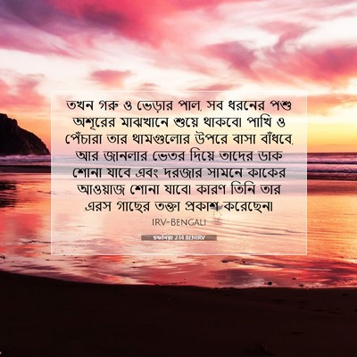 Picture 07 - চফনিয়া 2:14 BENIRV - তখন গরু ও ভেড়ার - Bible Verse Picture