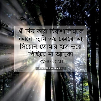 Picture 07 - চফনিয়া 3:16 BENIRV - ঐ দিন তারা - Bible Verse Picture