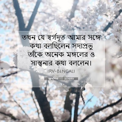 Picture 07 - জখৰিয়া 1:13 BENIRV - তখন যে স্বর্গদূত - Bible Verse Picture