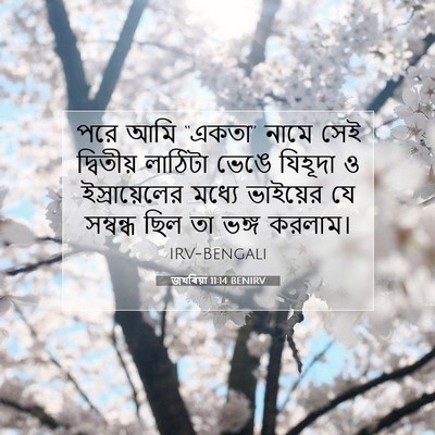 Picture 07 - জখৰিয়া 11:14 BENIRV - পরে আমি “একতা” - Bible Verse Picture