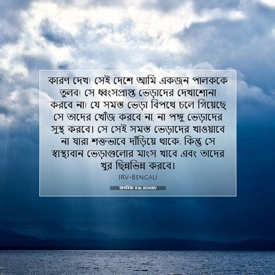 Picture 07 - জখৰিয়া 11:16 BENIRV - কারণ দেখ! সেই দেশে - Bible Verse Picture