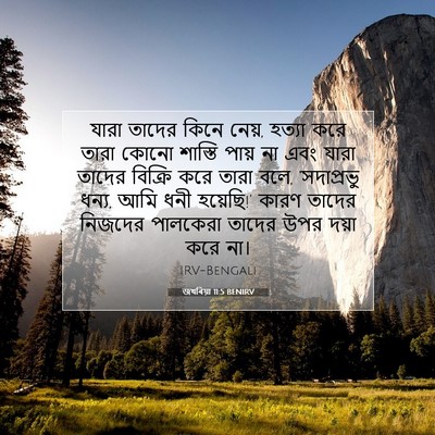 Picture 07 - জখৰিয়া 11:5 BENIRV - যারা তাদের কিনে - Bible Verse Picture