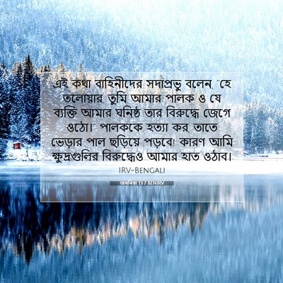 Picture 07 - জখৰিয়া 13:7 BENIRV - এই কথা বাহিনীদের - Bible Verse Picture