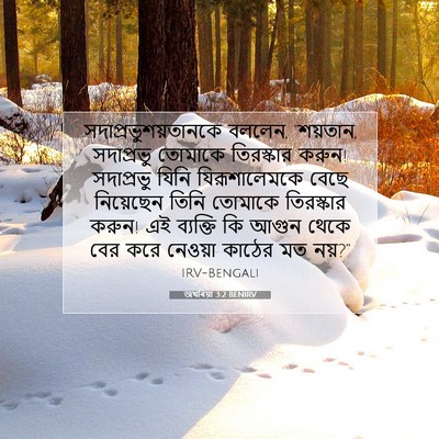 Picture 07 - জখৰিয়া 3:2 BENIRV - সদাপ্রভুশয়তানকে - Bible Verse Picture