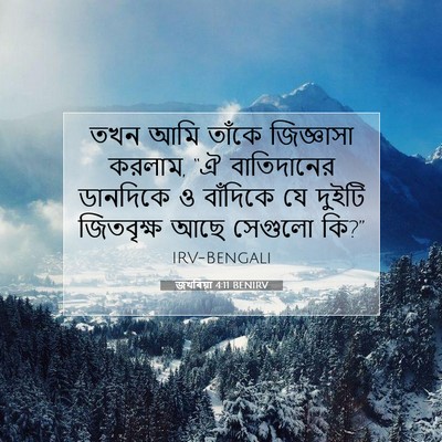 Picture 07 - জখৰিয়া 4:11 BENIRV - তখন আমি তাঁকে - Bible Verse Picture