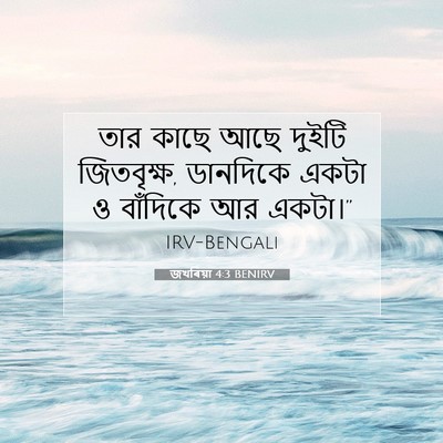 Picture 07 - জখৰিয়া 4:3 BENIRV - তার কাছে আছে দুইটি - Bible Verse Picture