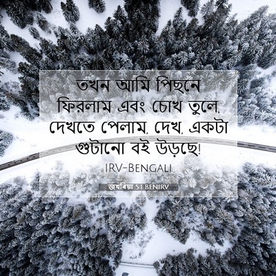 Picture 07 - জখৰিয়া 5:1 BENIRV - তখন আমি পিছনে - Bible Verse Picture