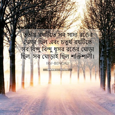 Picture 07 - জখৰিয়া 6:3 BENIRV - তৃতীয় রথটিতে সব - Bible Verse Picture