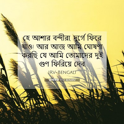 Picture 07 - জখৰিয়া 9:12 BENIRV - হে আশার বন্দীরা, - Bible Verse Picture