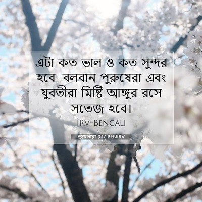 Picture 07 - জখৰিয়া 9:17 BENIRV - এটা কত ভাল ও কত - Bible Verse Picture