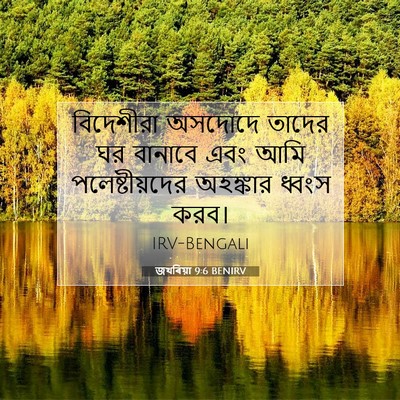 Picture 07 - জখৰিয়া 9:6 BENIRV - বিদেশীরা অসদোদে - Bible Verse Picture