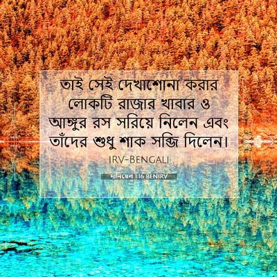 Picture 07 - দানিয়েল 1:16 BENIRV - তাই সেই দেখাশোনা - Bible Verse Picture