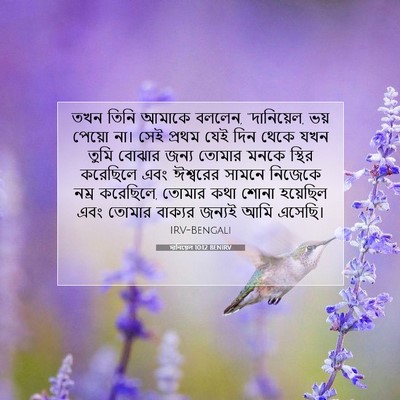Picture 07 - দানিয়েল 10:12 BENIRV - তখন তিনি আমাকে - Bible Verse Picture