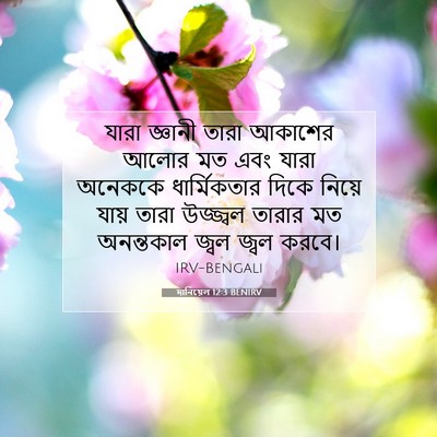 Picture 07 - দানিয়েল 12:3 BENIRV - যারা জ্ঞানী তারা - Bible Verse Picture