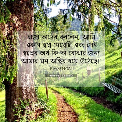 Picture 07 - দানিয়েল 2:3 BENIRV - রাজা তাদের বললেন, - Bible Verse Picture
