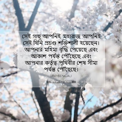Picture 07 - দানিয়েল 4:22 BENIRV - সেই গাছ আপনিই, - Bible Verse Picture