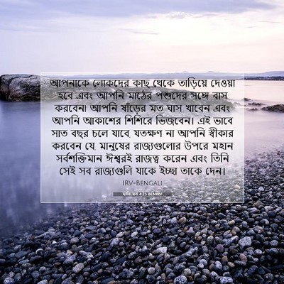 Picture 07 - দানিয়েল 4:25 BENIRV - আপনাকে লোকদের কাছ - Bible Verse Picture