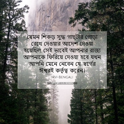 Picture 07 - দানিয়েল 4:26 BENIRV - যেমন শিকড় সুদ্ধ - Bible Verse Picture
