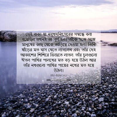Picture 07 - দানিয়েল 4:33 BENIRV - সেই বাক্য যা - Bible Verse Picture