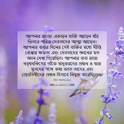 Picture 07 - দানিয়েল 5:11 BENIRV - আপনার রাজ্যে একজন - Bible Verse Picture