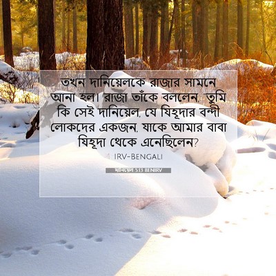 Picture 07 - দানিয়েল 5:13 BENIRV - তখন দানিয়েলকে - Bible Verse Picture