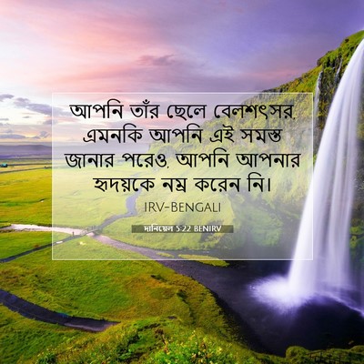 Picture 07 - দানিয়েল 5:22 BENIRV - আপনি তাঁর ছেলে - Bible Verse Picture