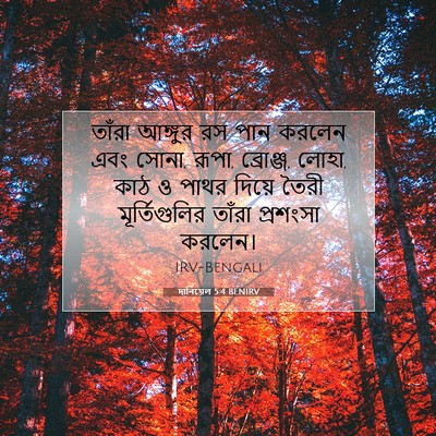 Picture 07 - দানিয়েল 5:4 BENIRV - তাঁরা আঙ্গুর রস - Bible Verse Picture