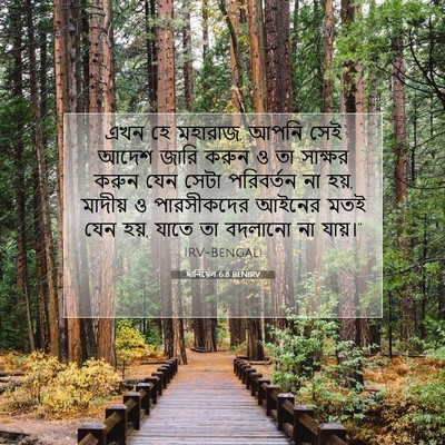 Picture 07 - দানিয়েল 6:8 BENIRV - এখন হে মহারাজ, আপনি - Bible Verse Picture