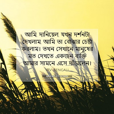 Picture 07 - দানিয়েল 8:15 BENIRV - আমি, দানিয়েল, যখন - Bible Verse Picture