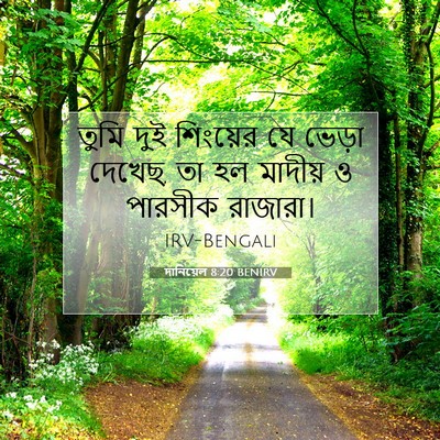 Picture 07 - দানিয়েল 8:20 BENIRV - তুমি দুই শিংয়ের - Bible Verse Picture